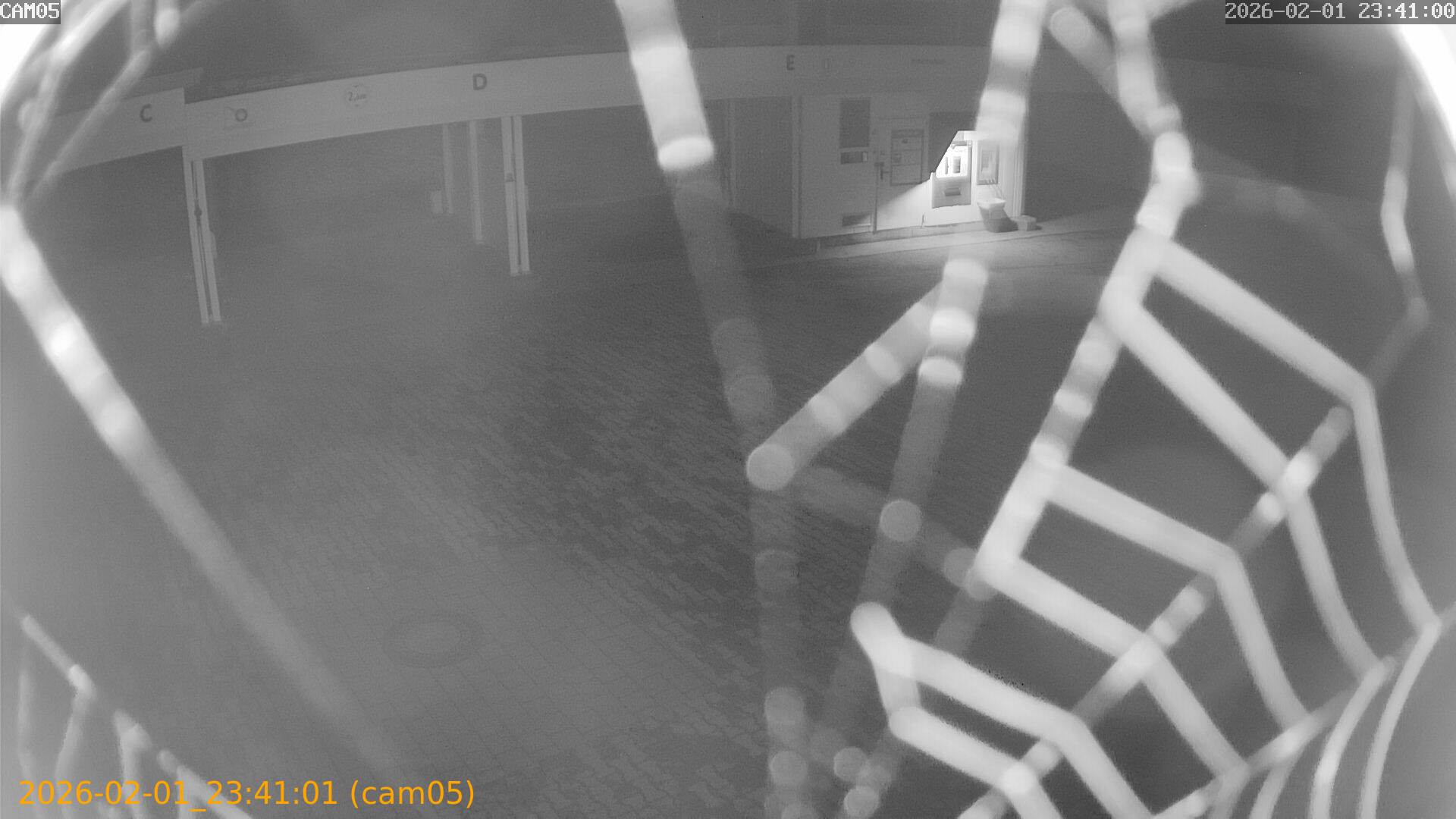 thumbnail_20260201234101