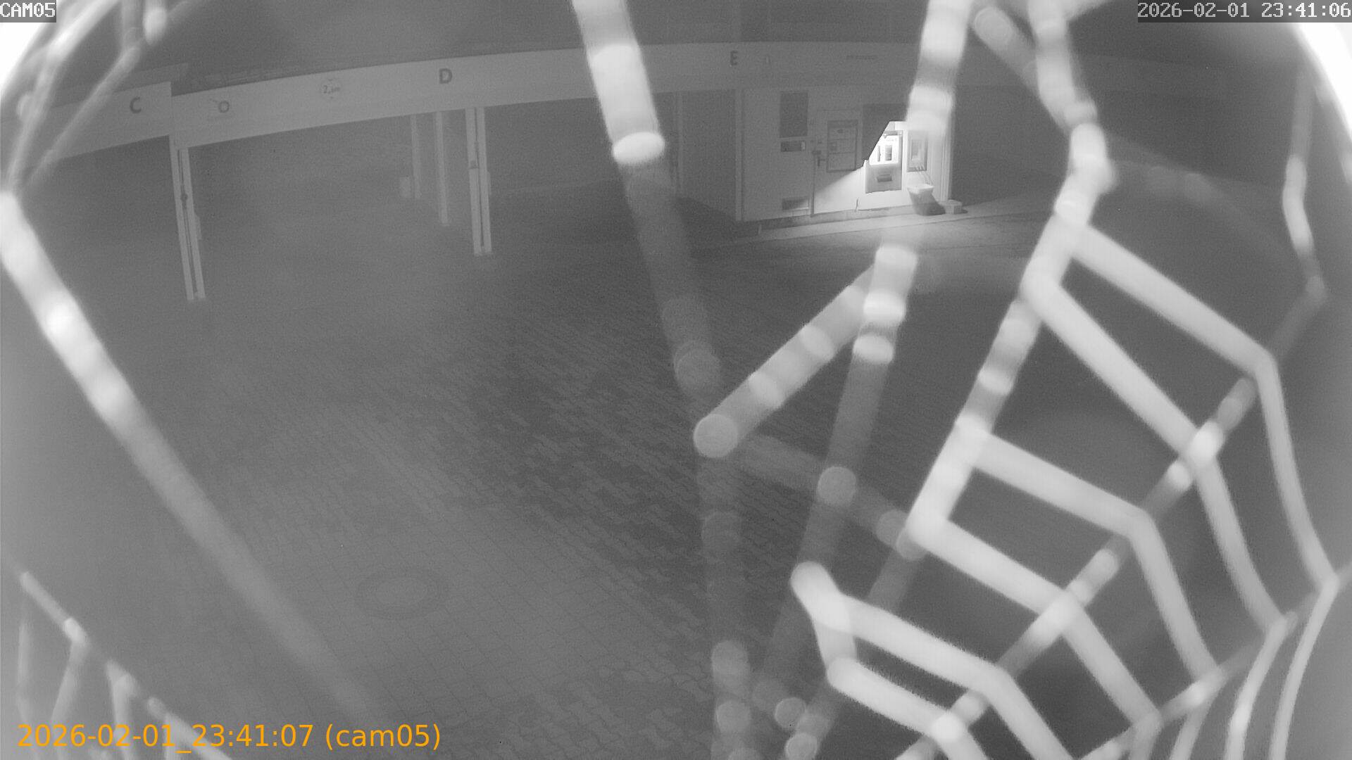 thumbnail_20260201234107