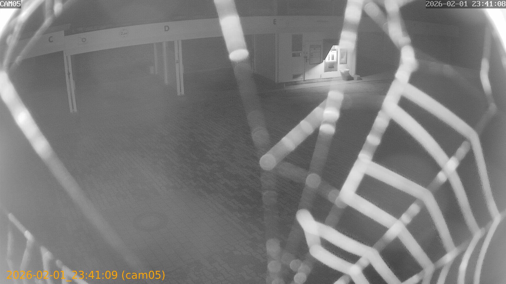 thumbnail_20260201234109