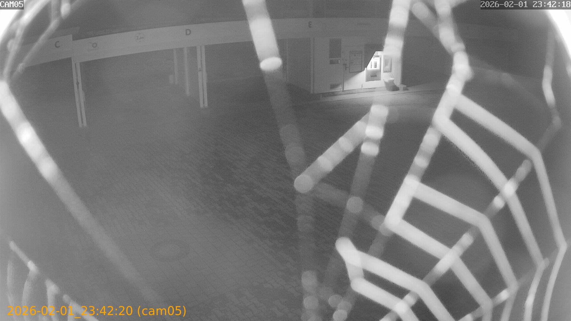 thumbnail_20260201234220