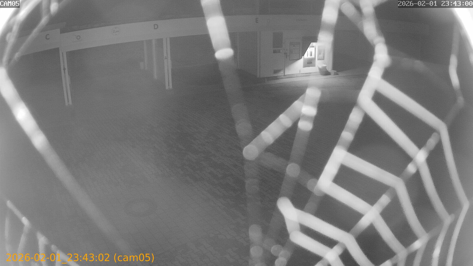 thumbnail_20260201234302