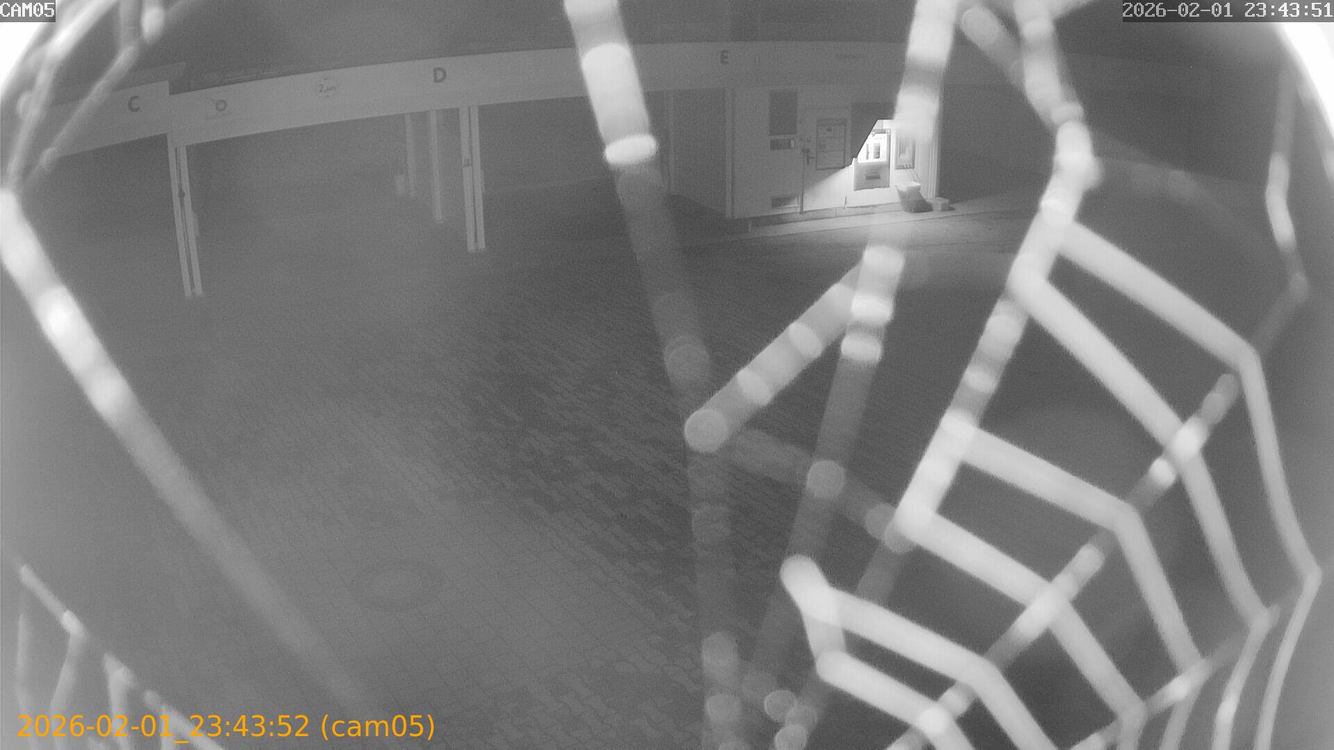 thumbnail_20260201234352