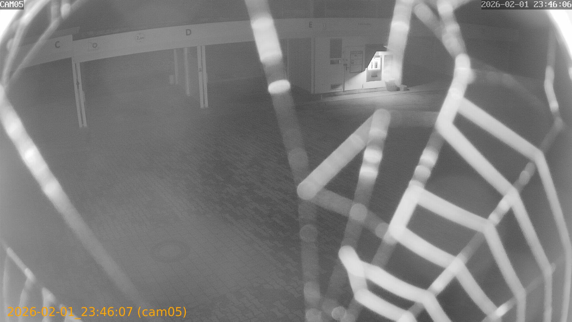 thumbnail_20260201234607