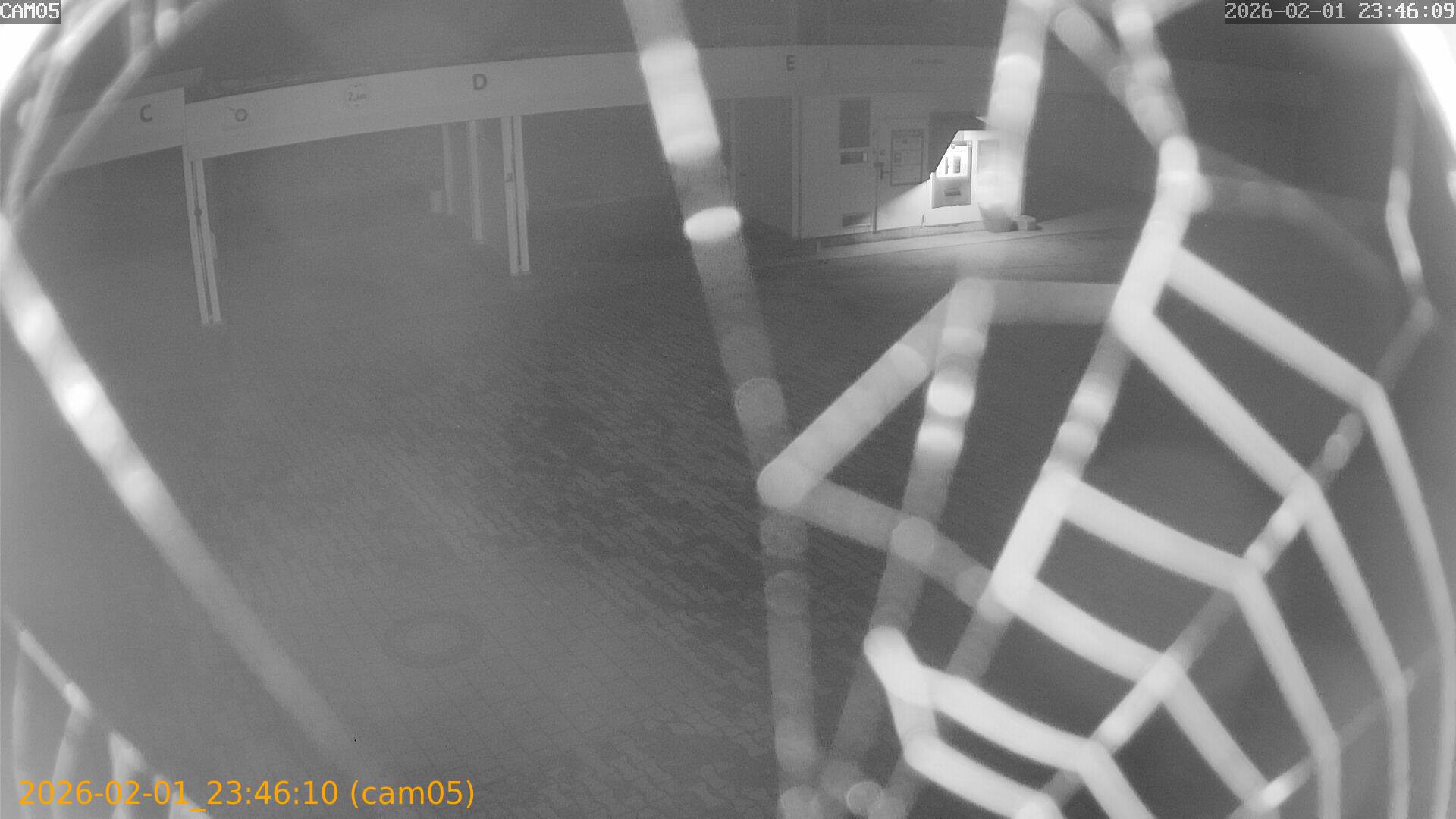 thumbnail_20260201234610