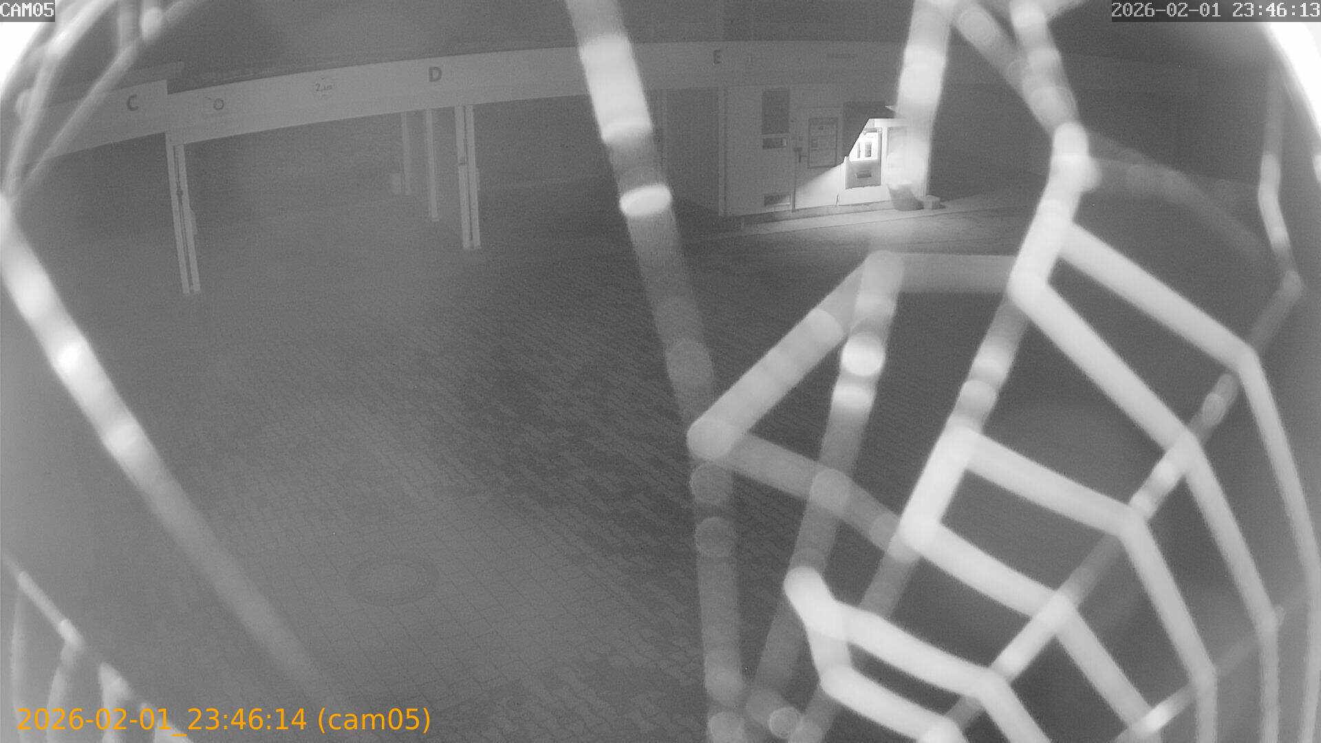 thumbnail_20260201234614