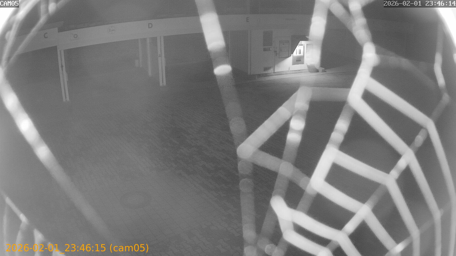 thumbnail_20260201234615