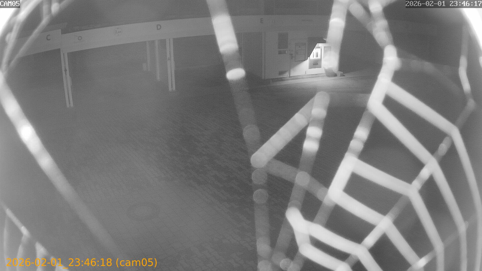 thumbnail_20260201234618