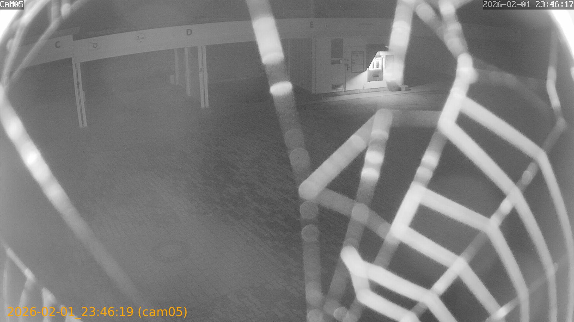 thumbnail_20260201234619