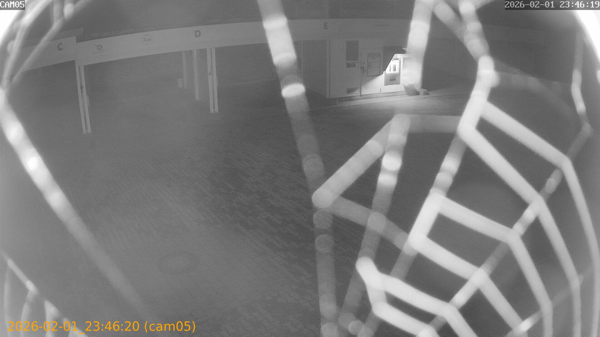 thumbnail_20260201234620