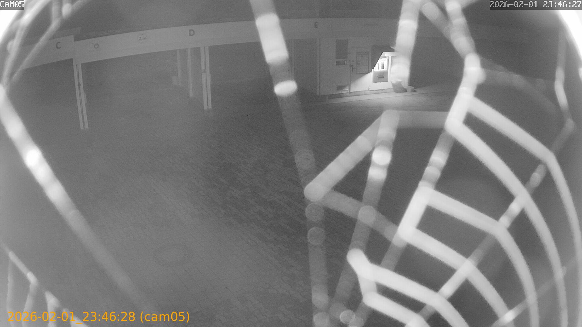 thumbnail_20260201234628