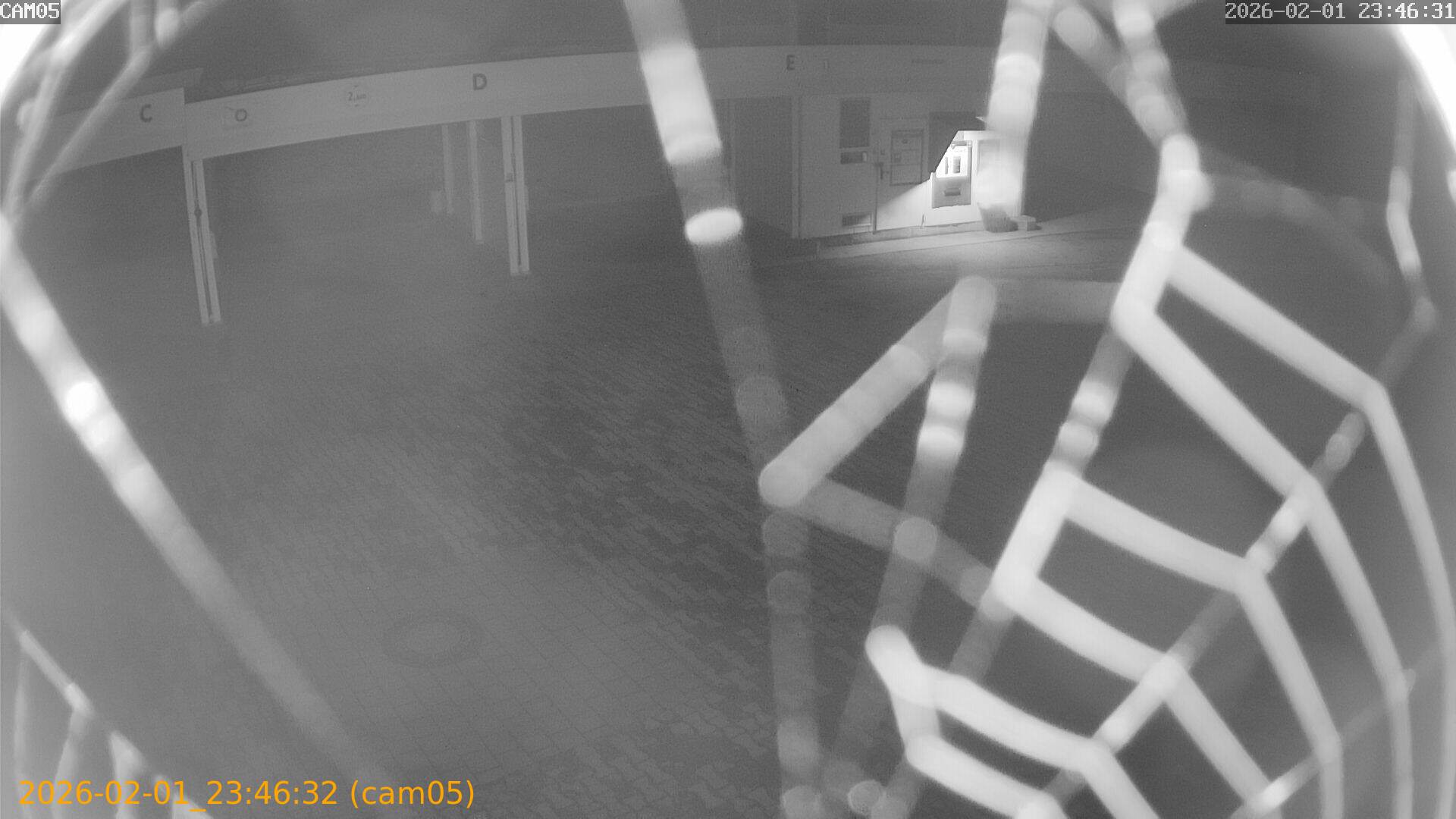 thumbnail_20260201234632