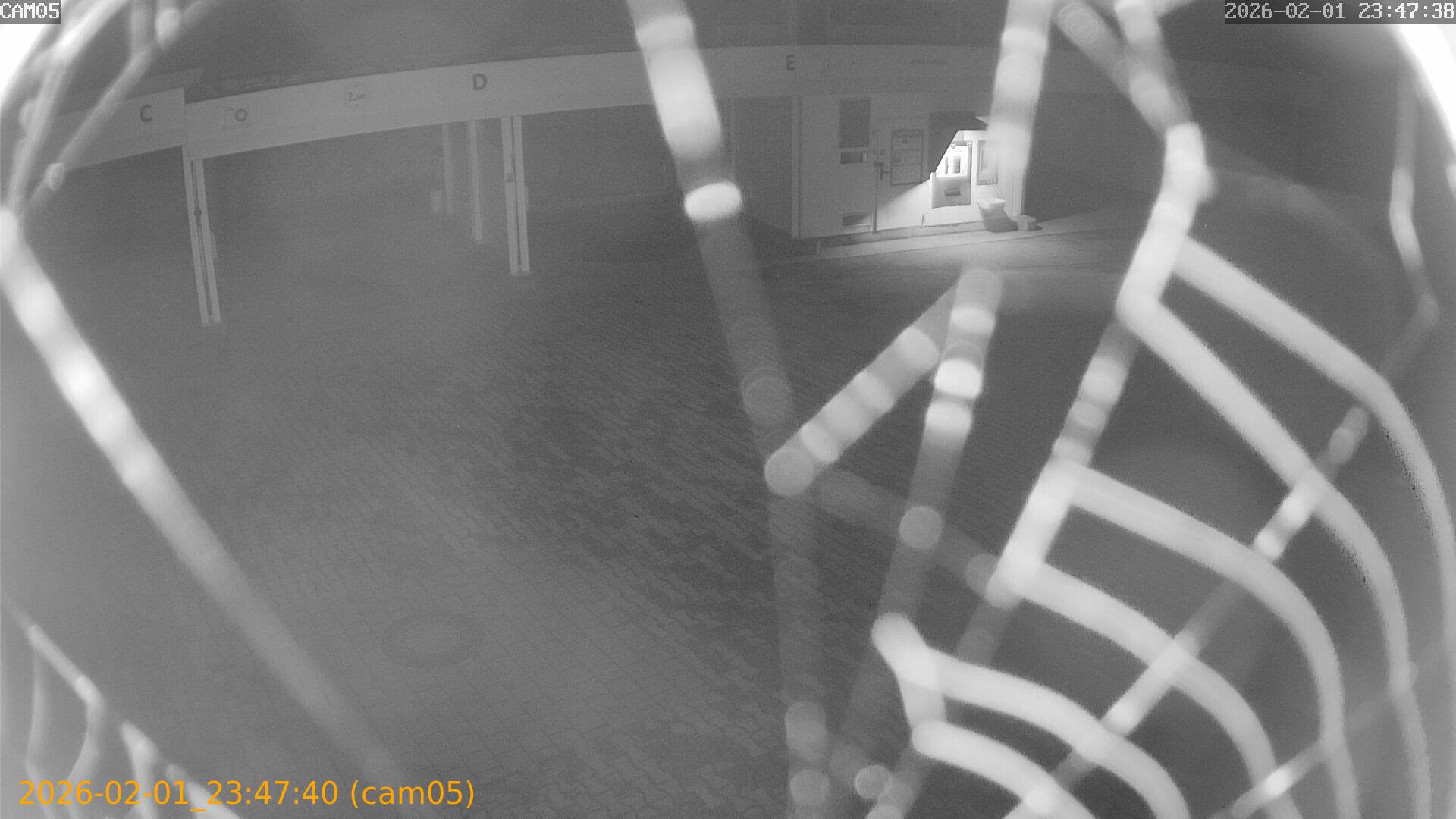 thumbnail_20260201234740