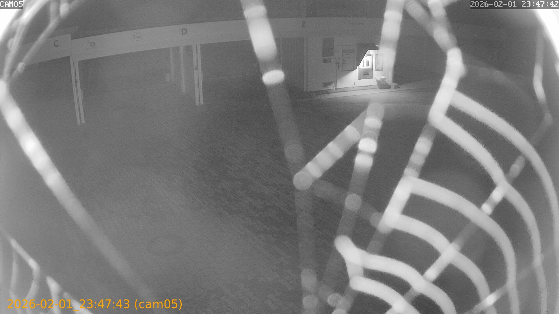 thumbnail_20260201234743