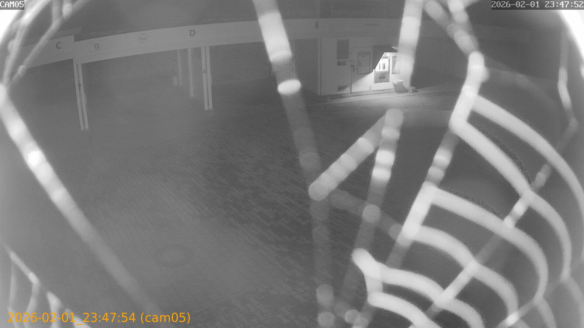 thumbnail_20260201234754