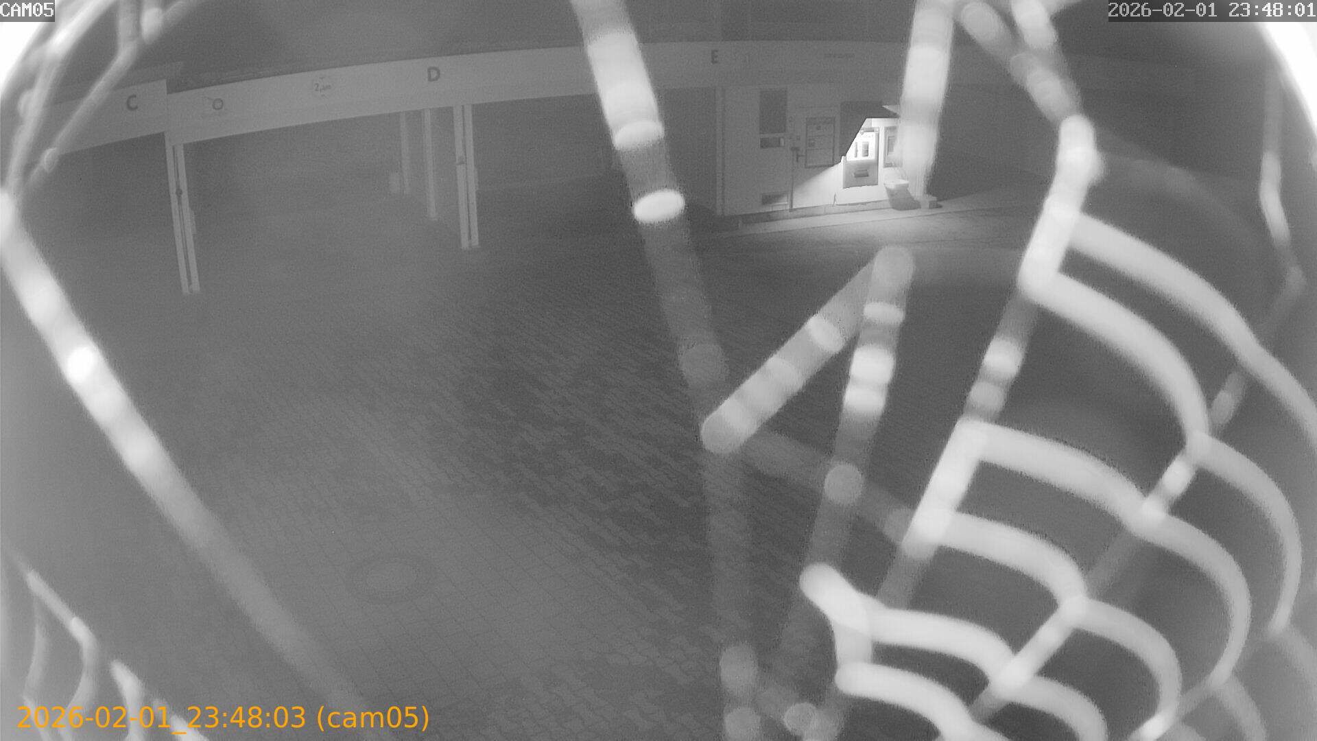 thumbnail_20260201234803