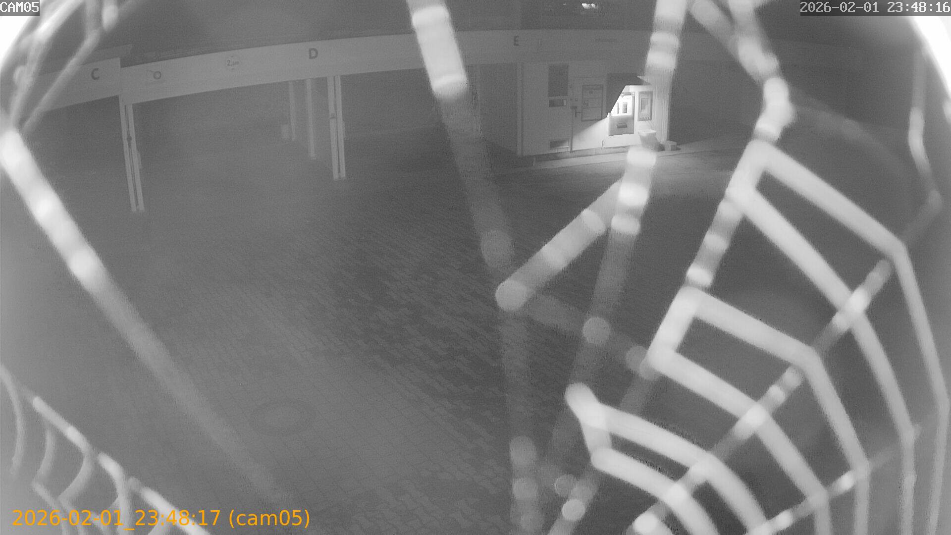 thumbnail_20260201234817