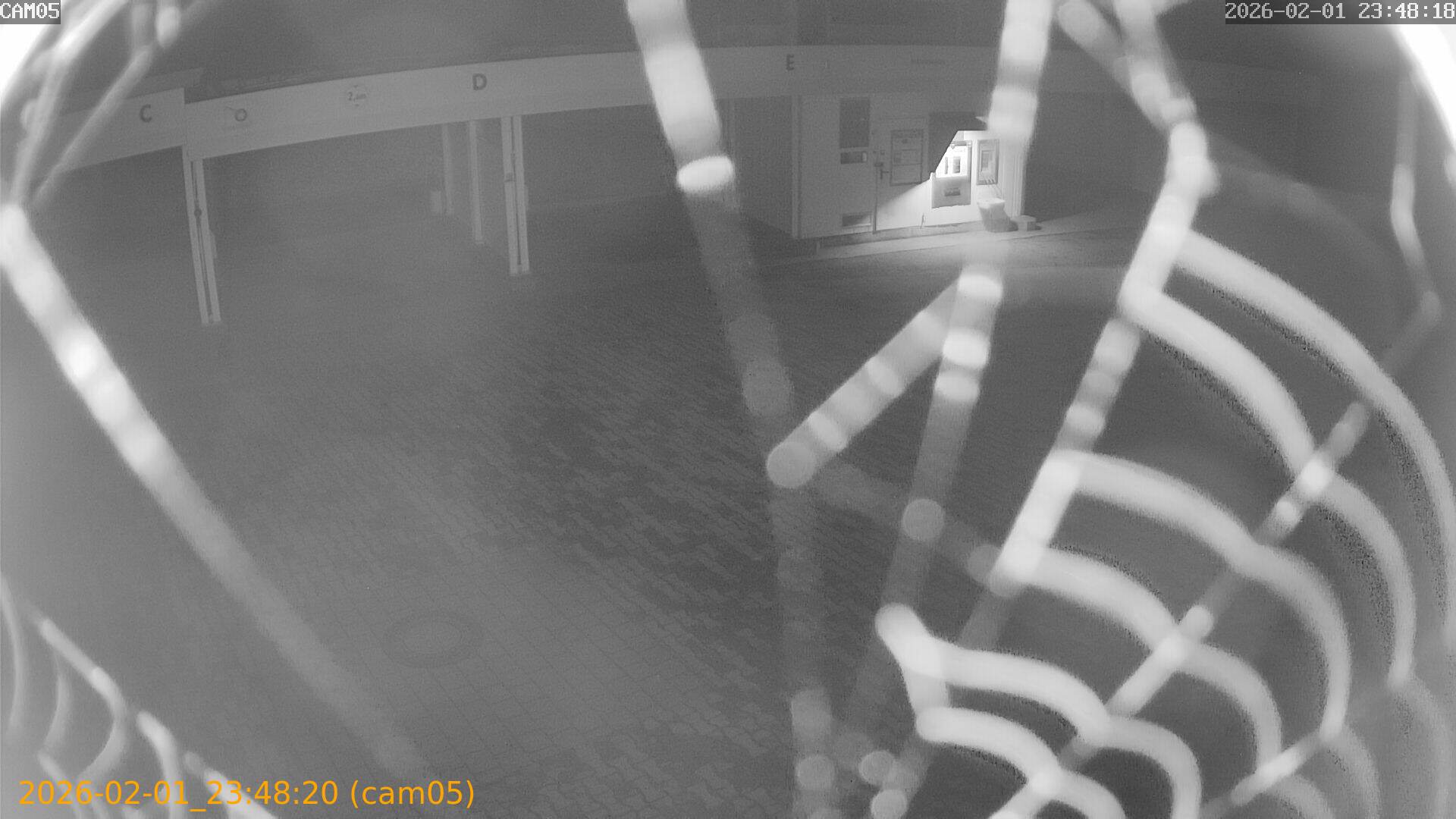 thumbnail_20260201234820