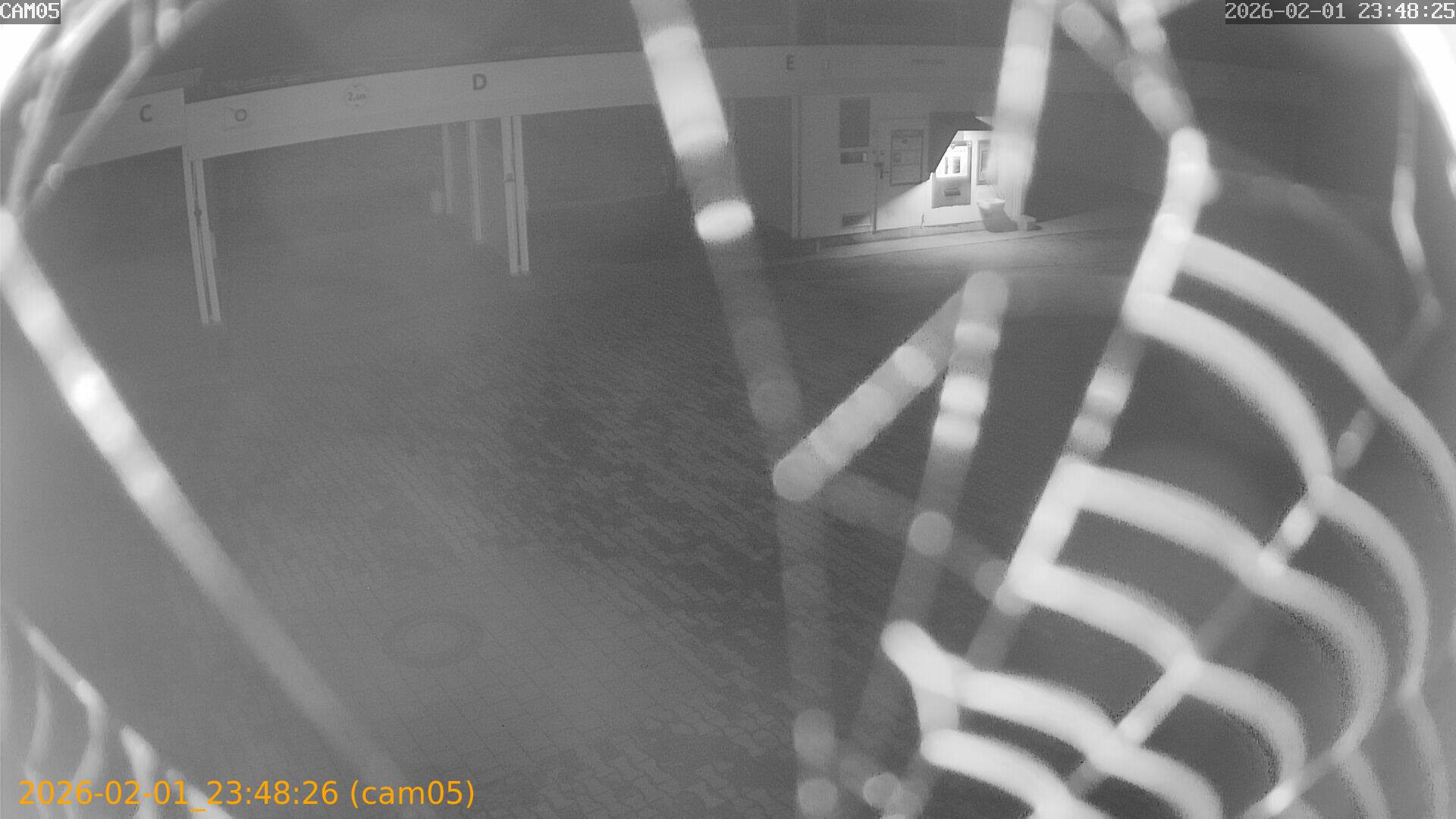 thumbnail_20260201234826