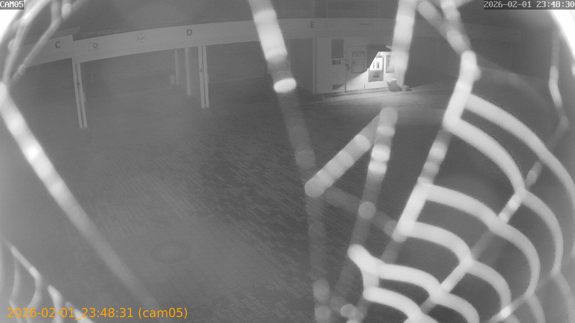 thumbnail_20260201234831