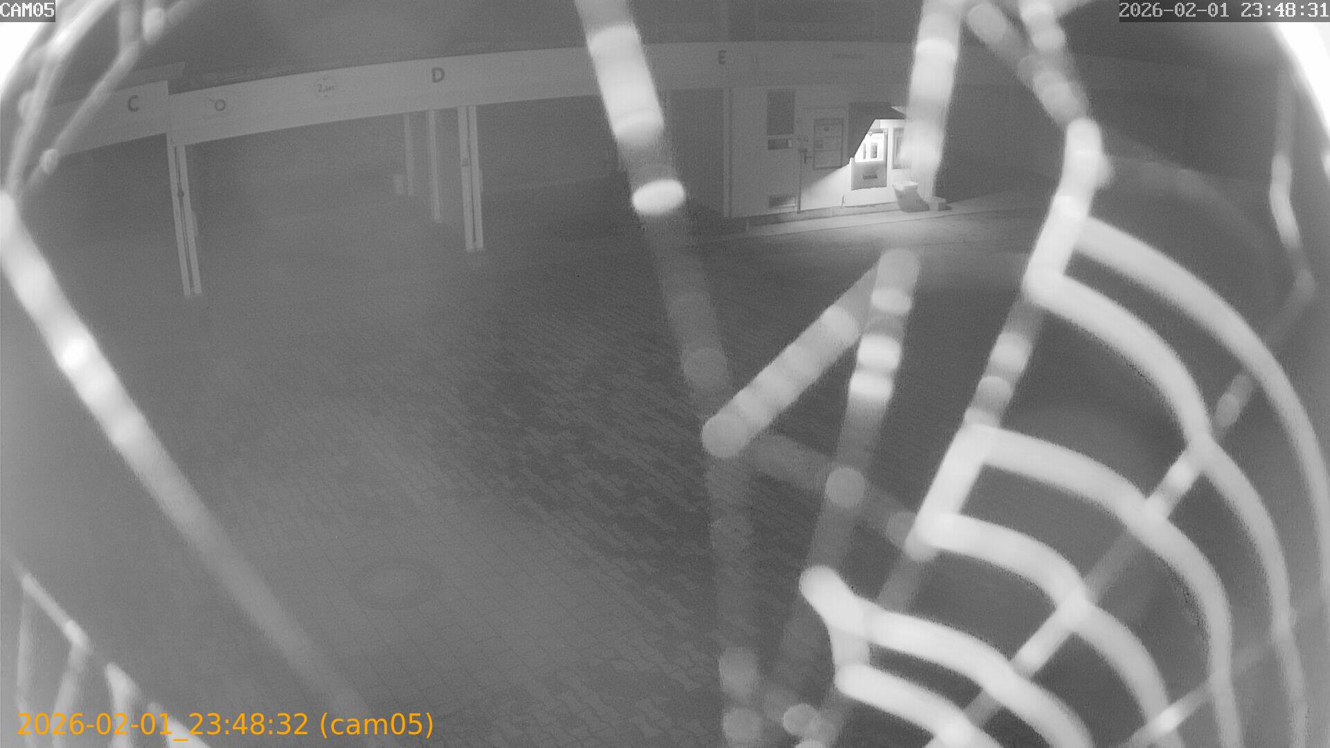 thumbnail_20260201234832