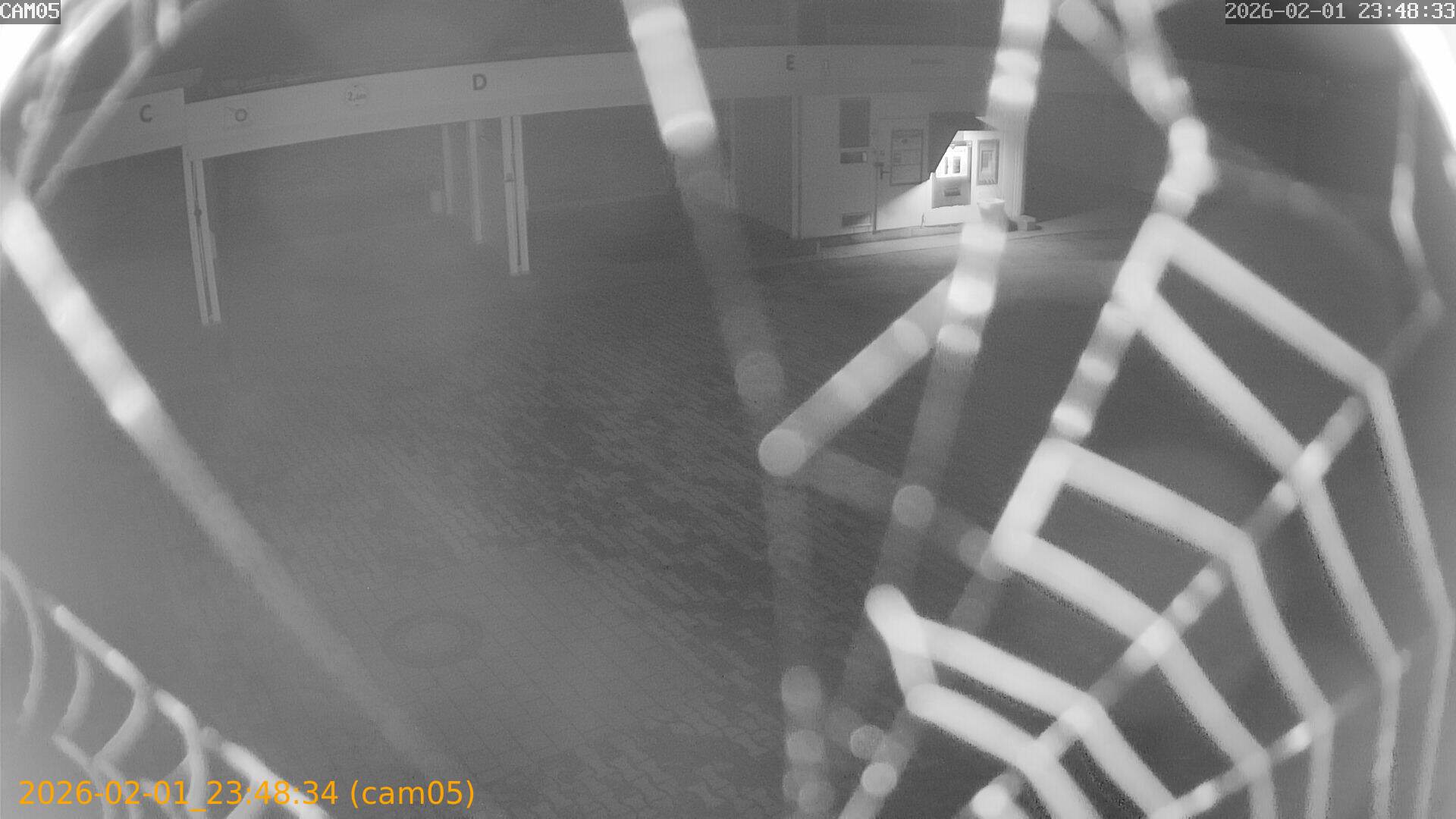 thumbnail_20260201234834