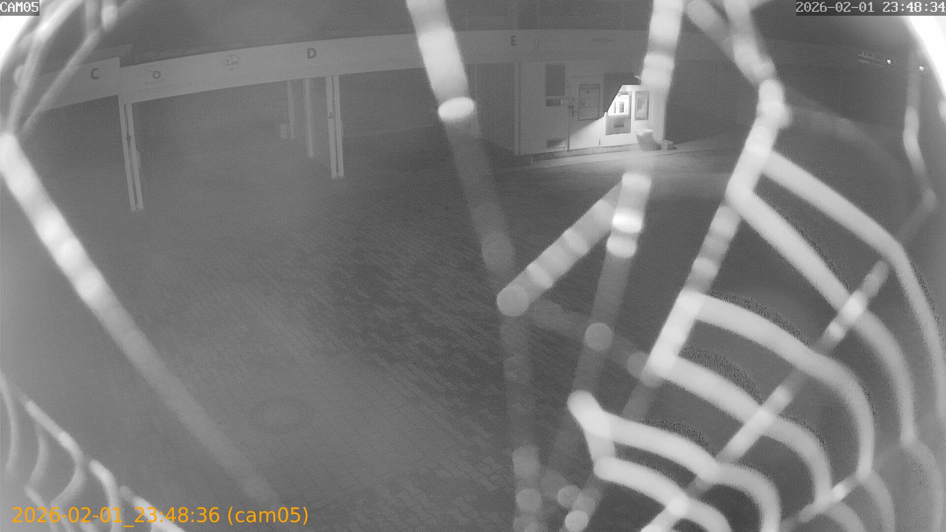 thumbnail_20260201234836