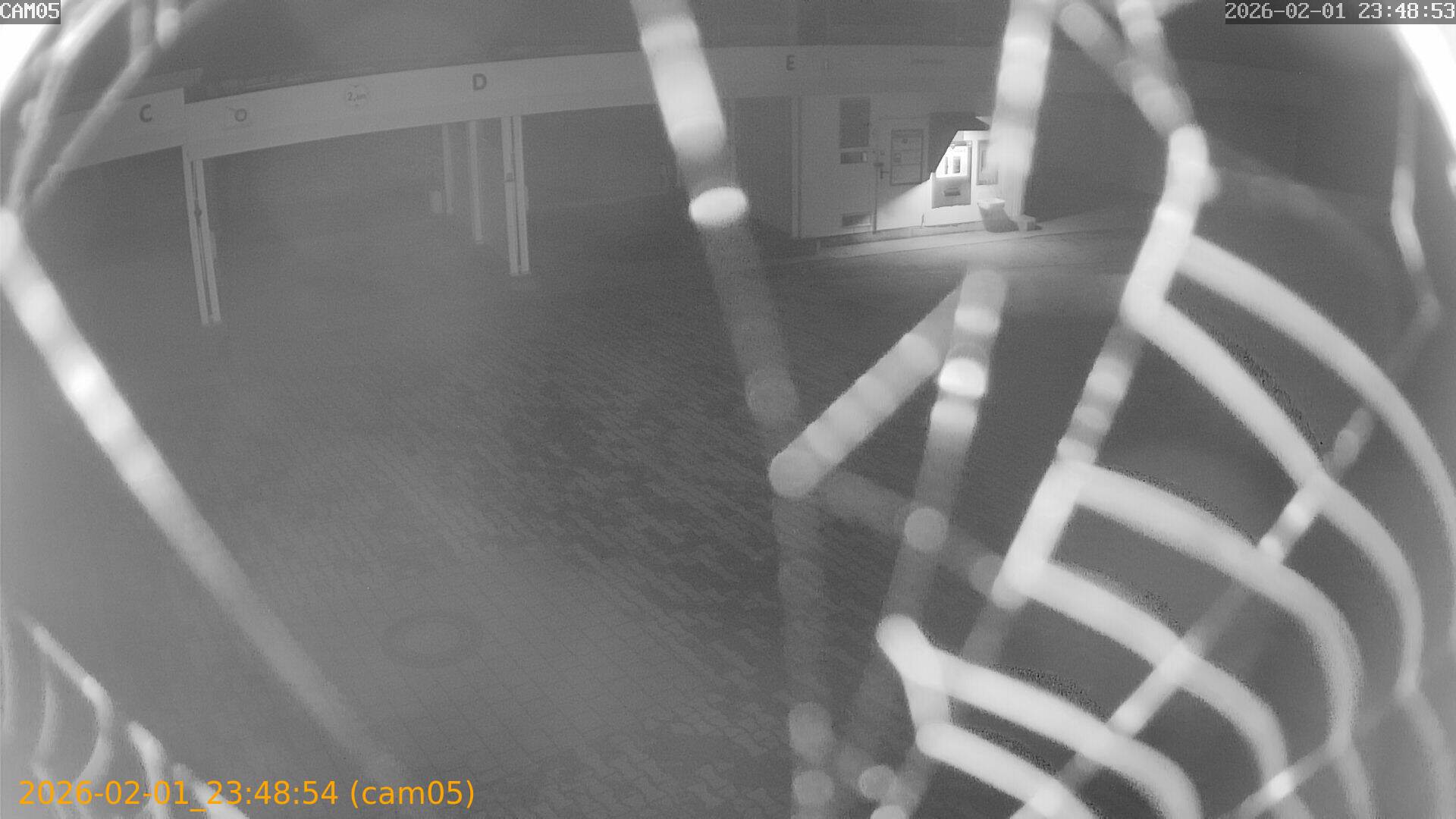 thumbnail_20260201234854