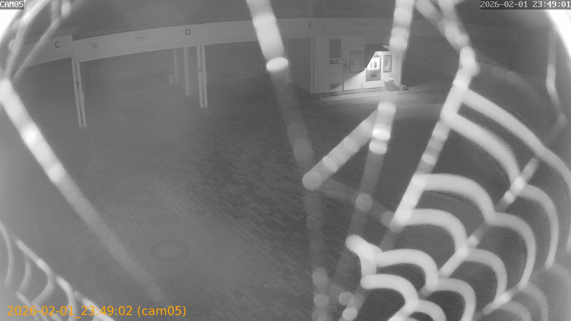 thumbnail_20260201234902