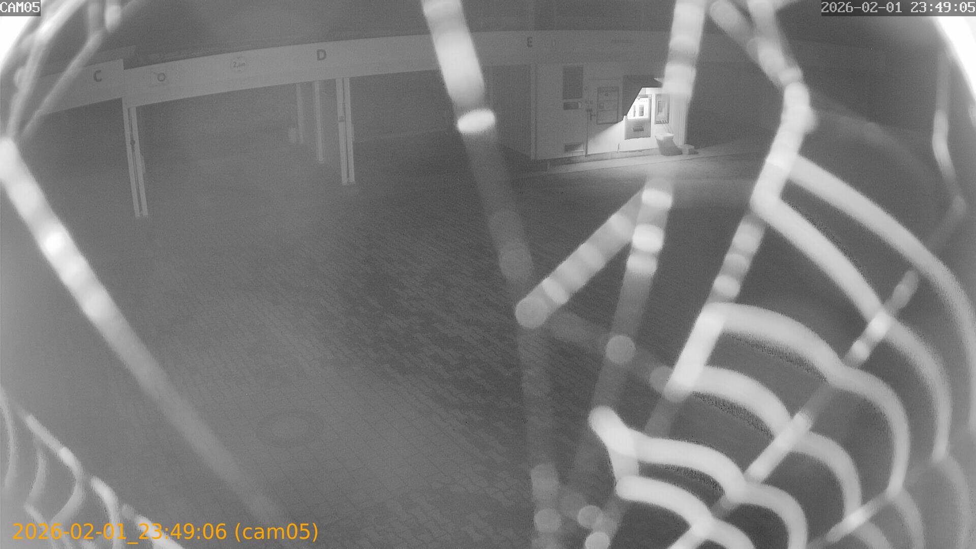 thumbnail_20260201234906