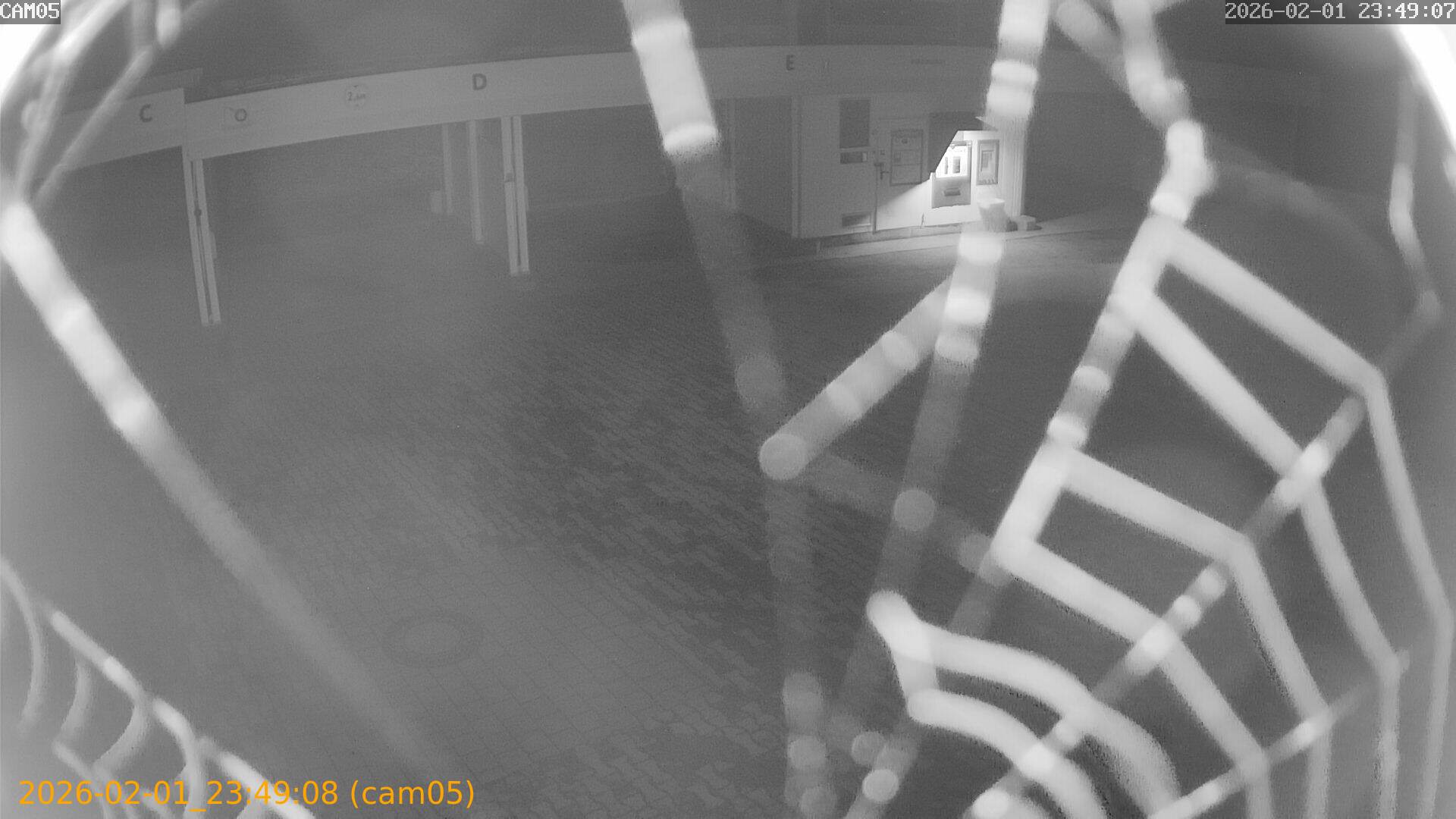 thumbnail_20260201234908