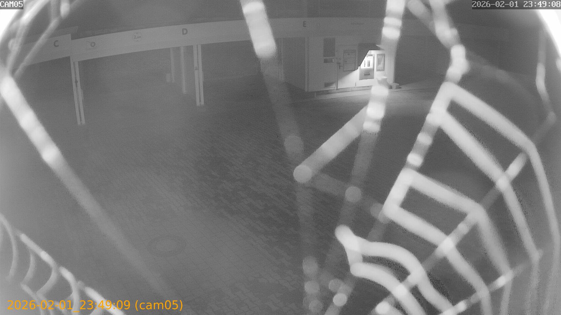 thumbnail_20260201234909