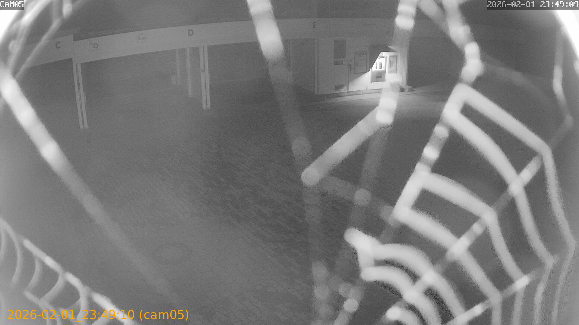 thumbnail_20260201234910