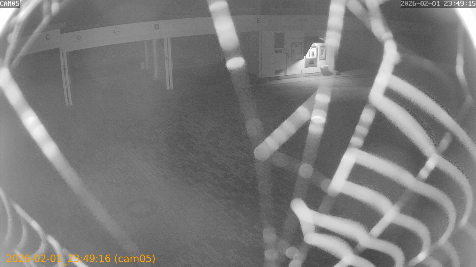 thumbnail_20260201234916