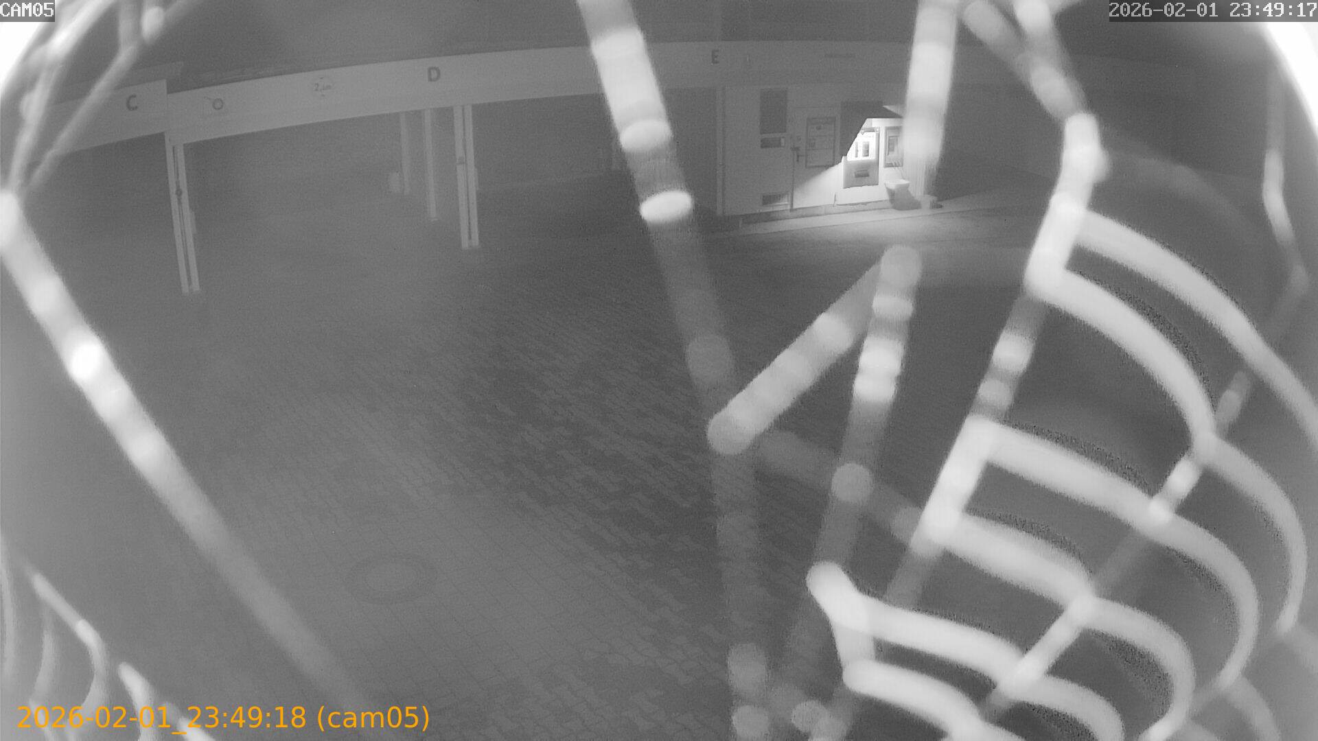 thumbnail_20260201234918