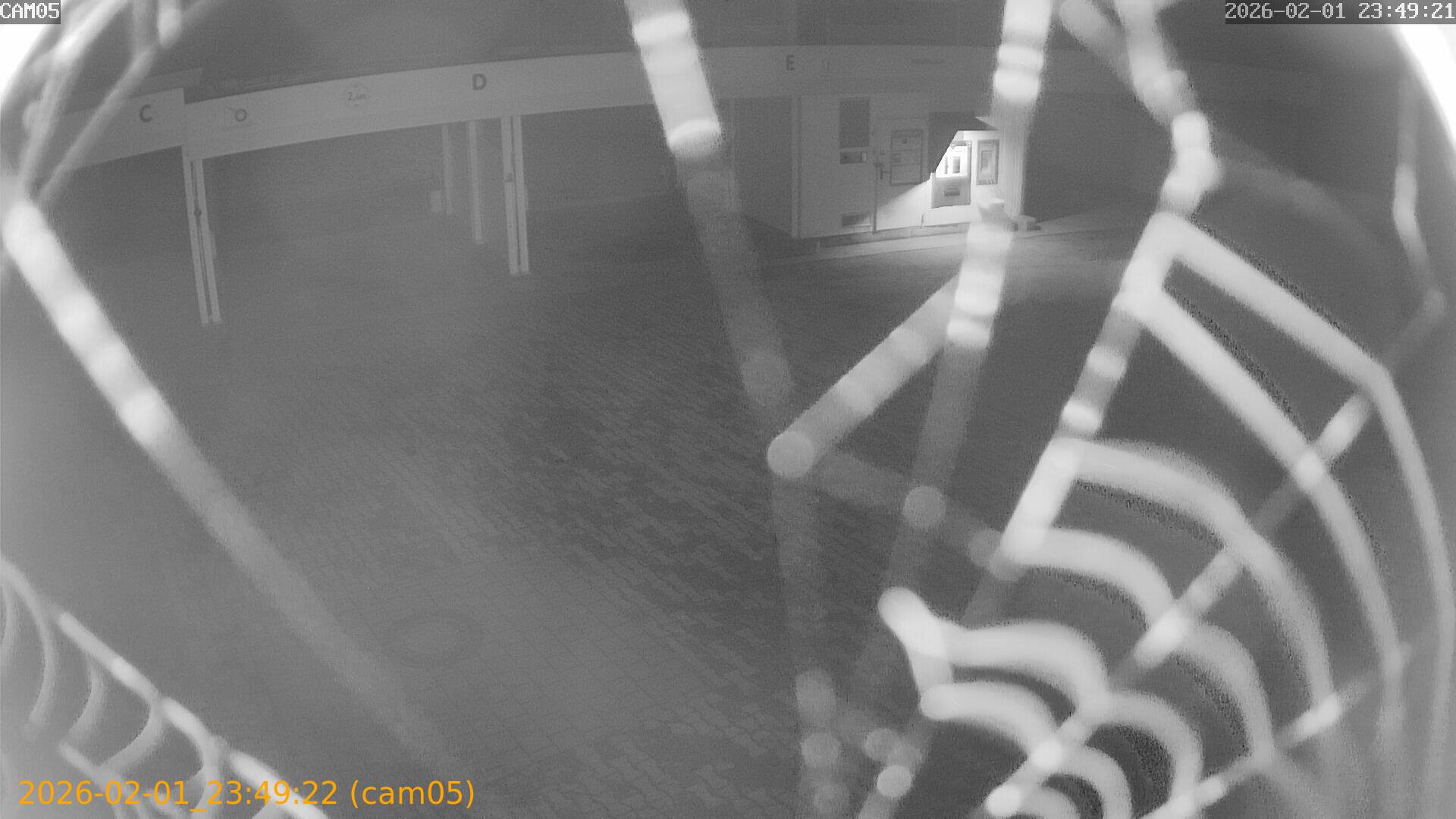 thumbnail_20260201234922