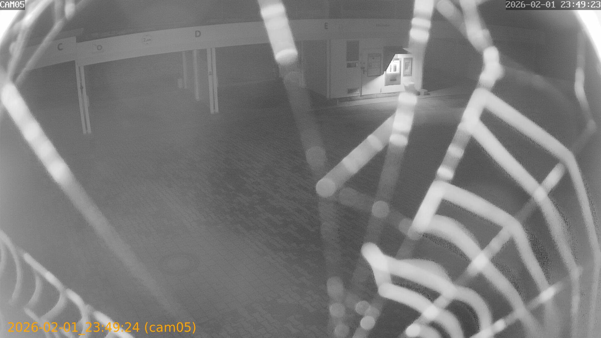 thumbnail_20260201234924