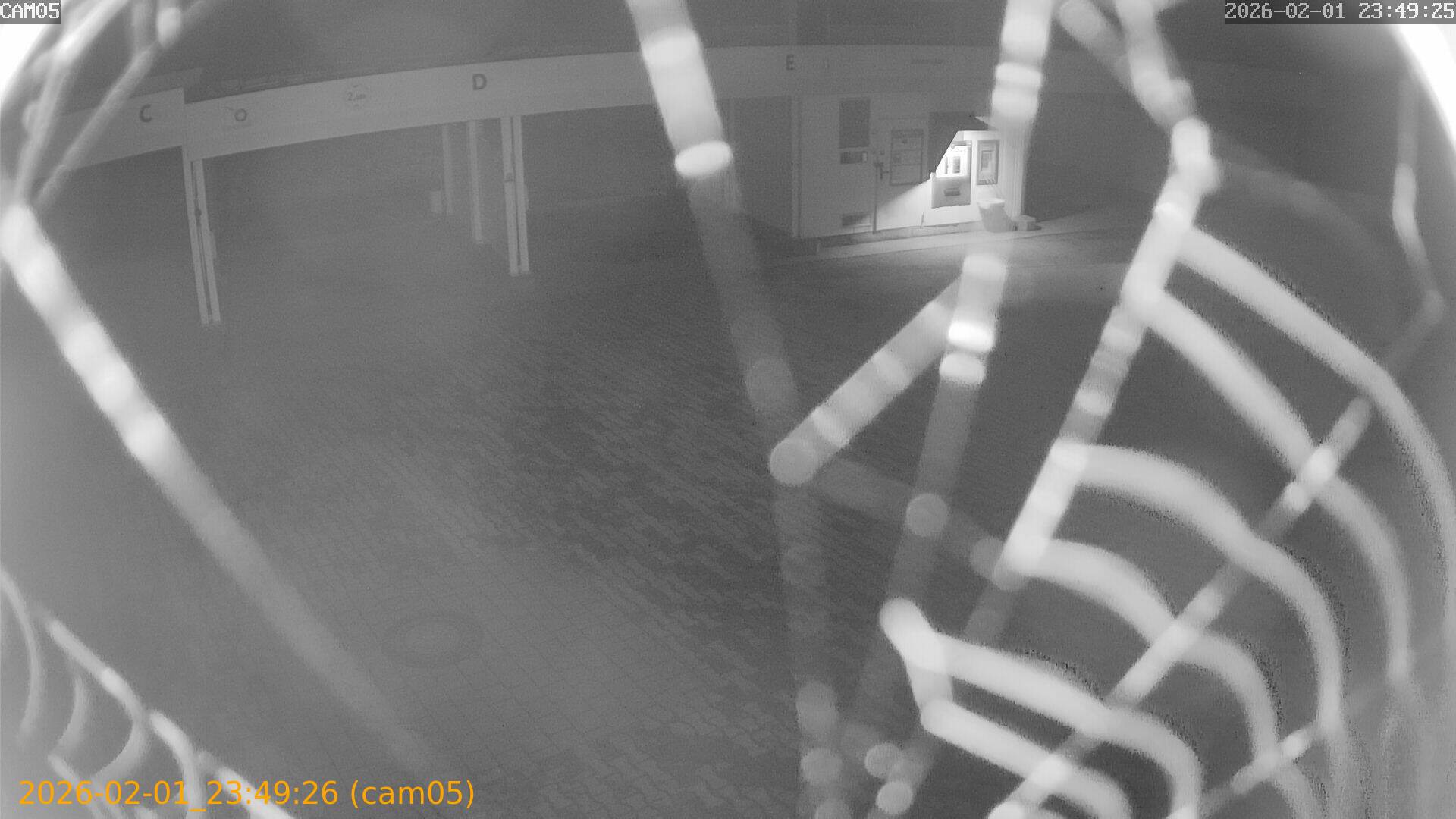 thumbnail_20260201234926