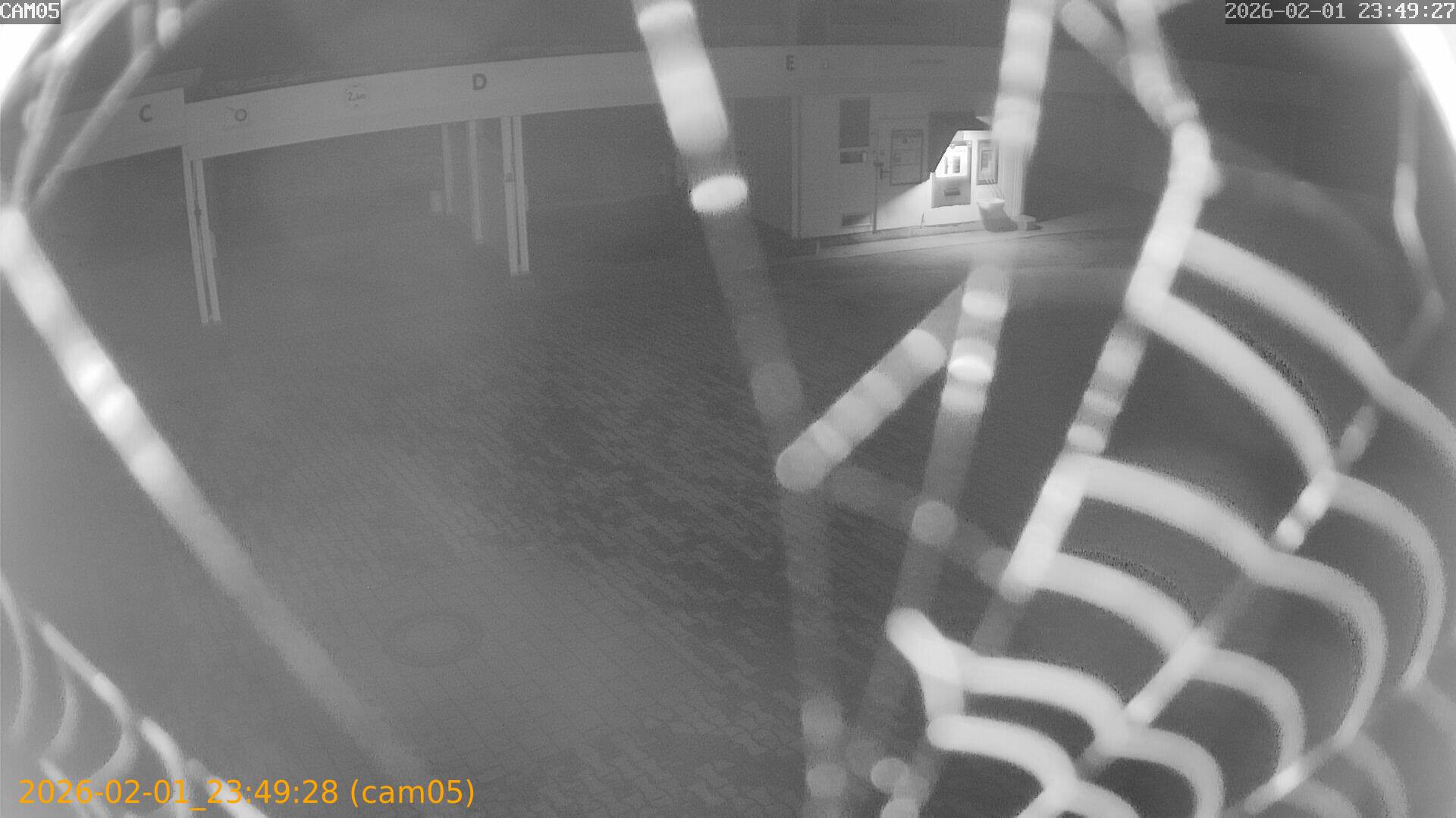 thumbnail_20260201234928