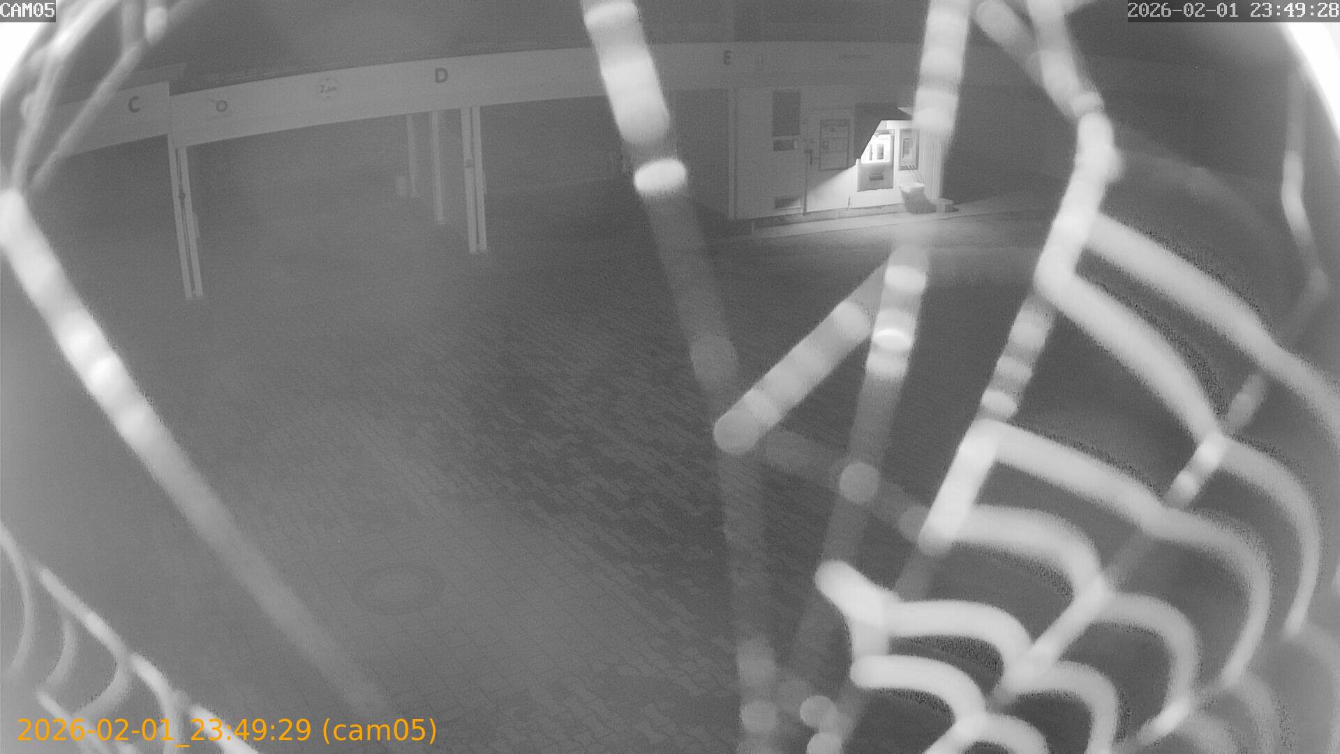 thumbnail_20260201234929