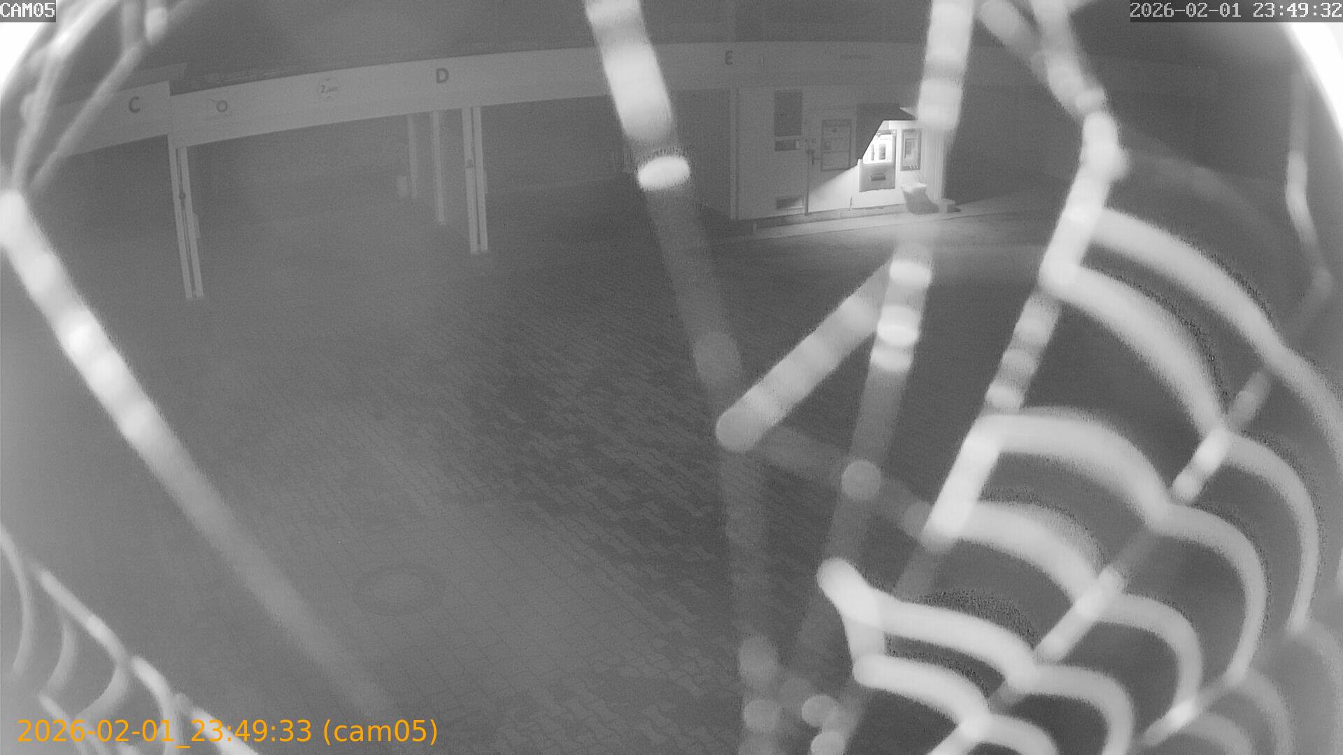 thumbnail_20260201234933