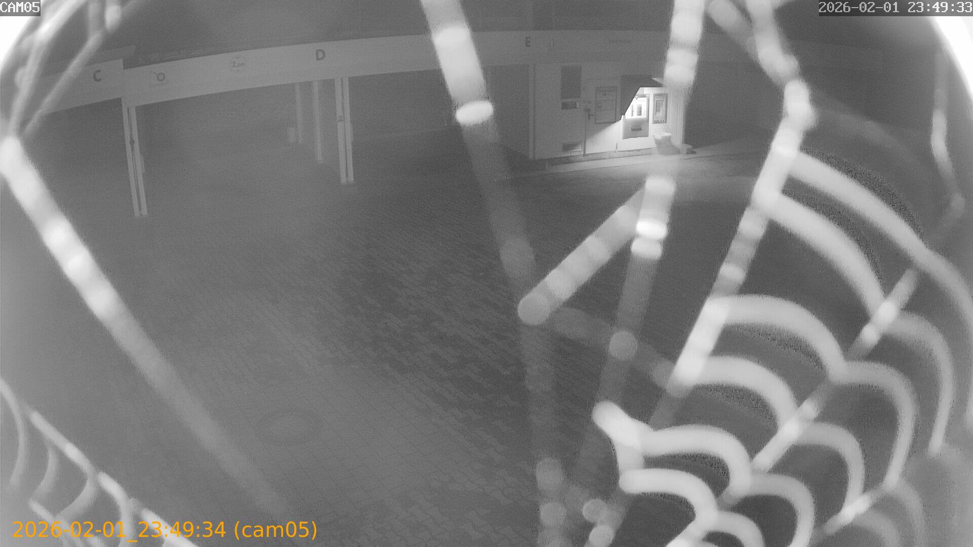 thumbnail_20260201234934