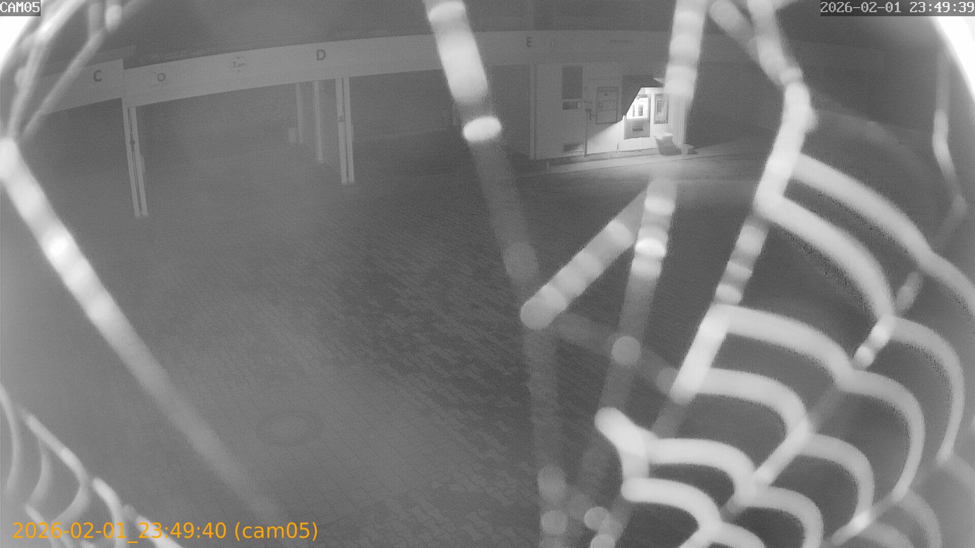 thumbnail_20260201234940