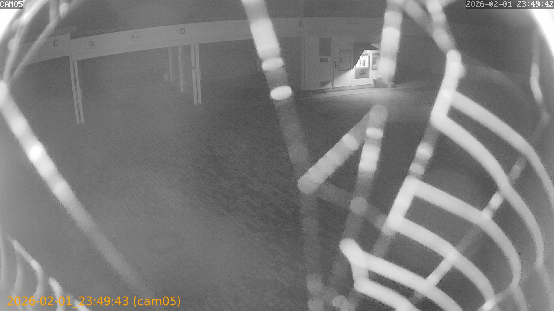 thumbnail_20260201234943