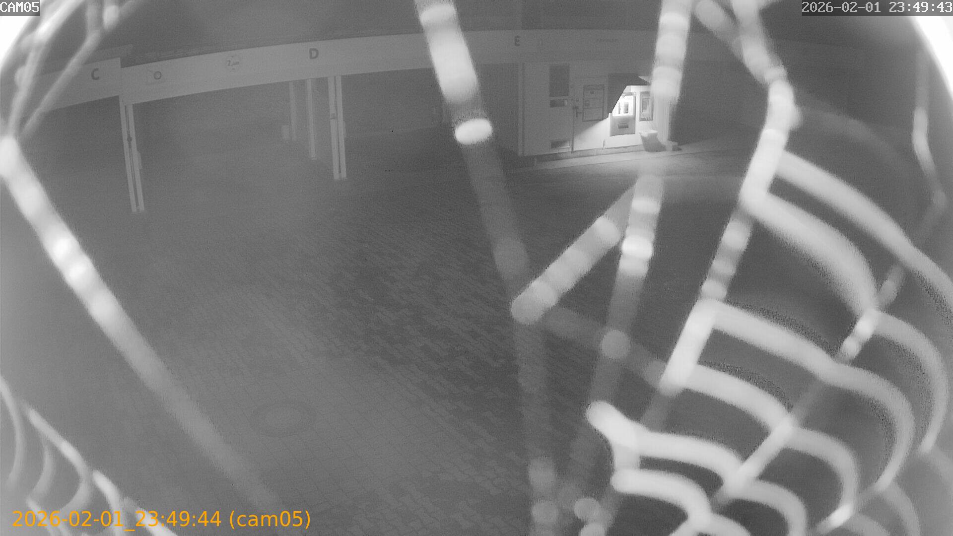 thumbnail_20260201234944