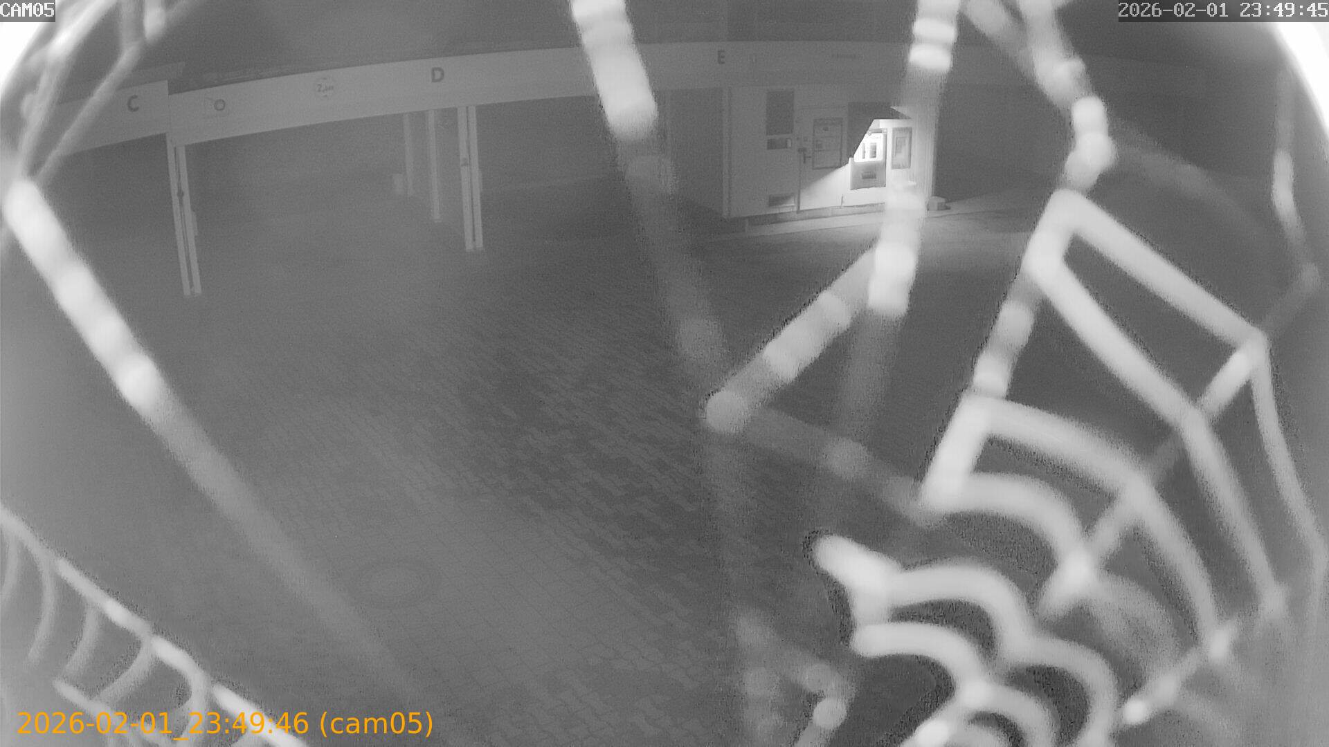 thumbnail_20260201234946