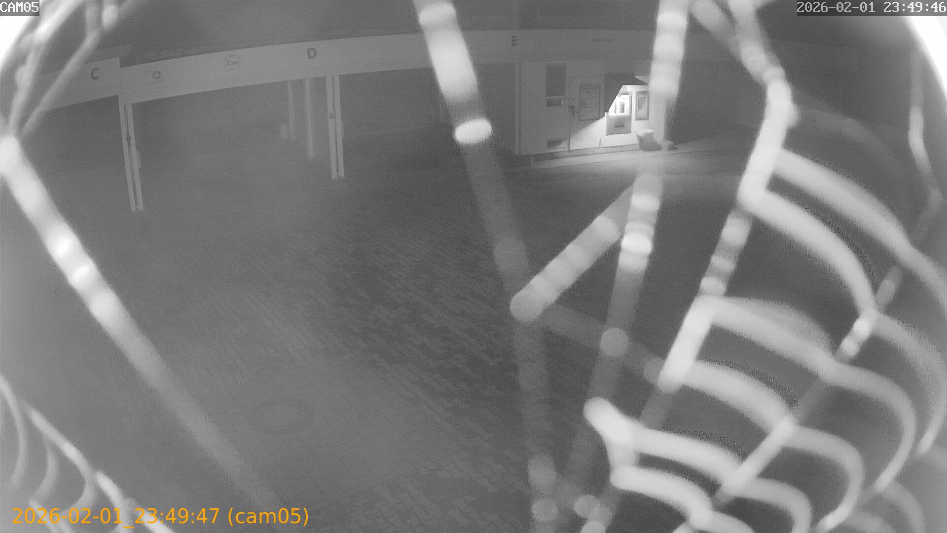 thumbnail_20260201234947