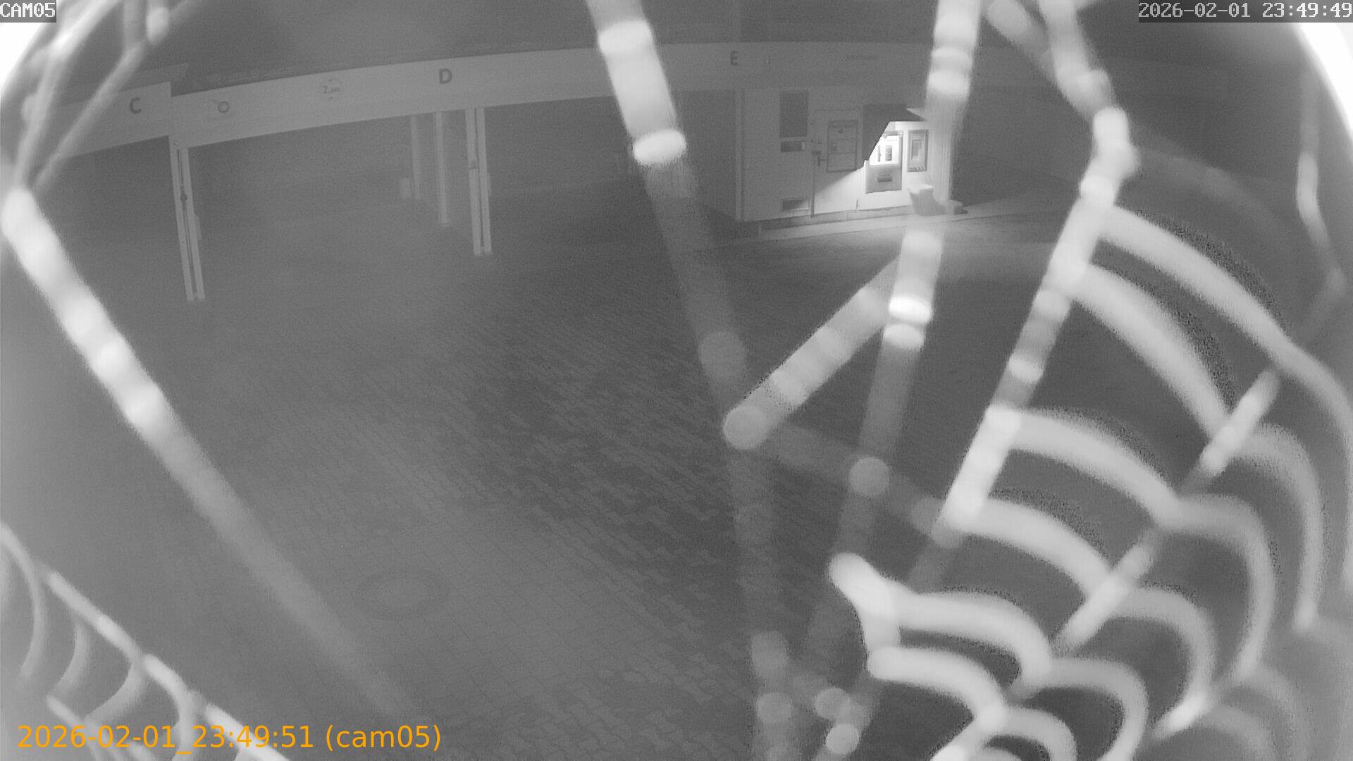 thumbnail_20260201234950