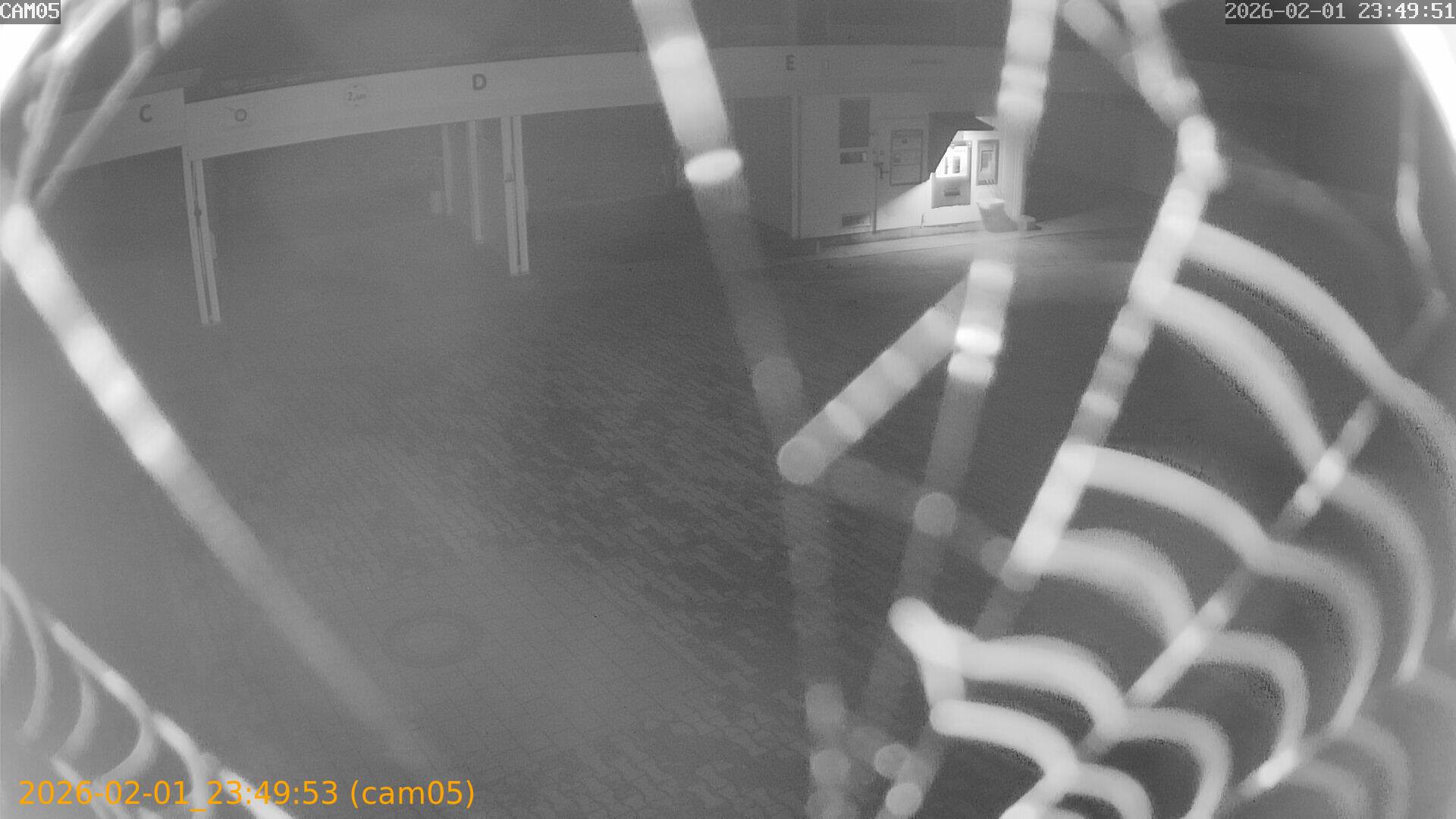 thumbnail_20260201234953