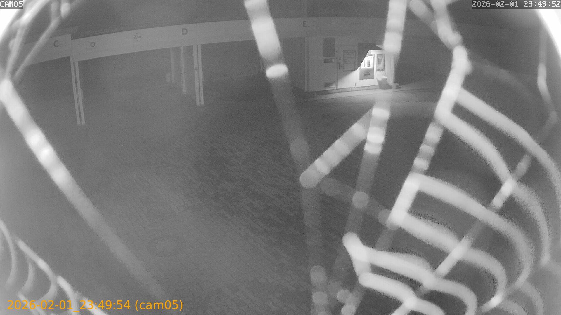 thumbnail_20260201234954