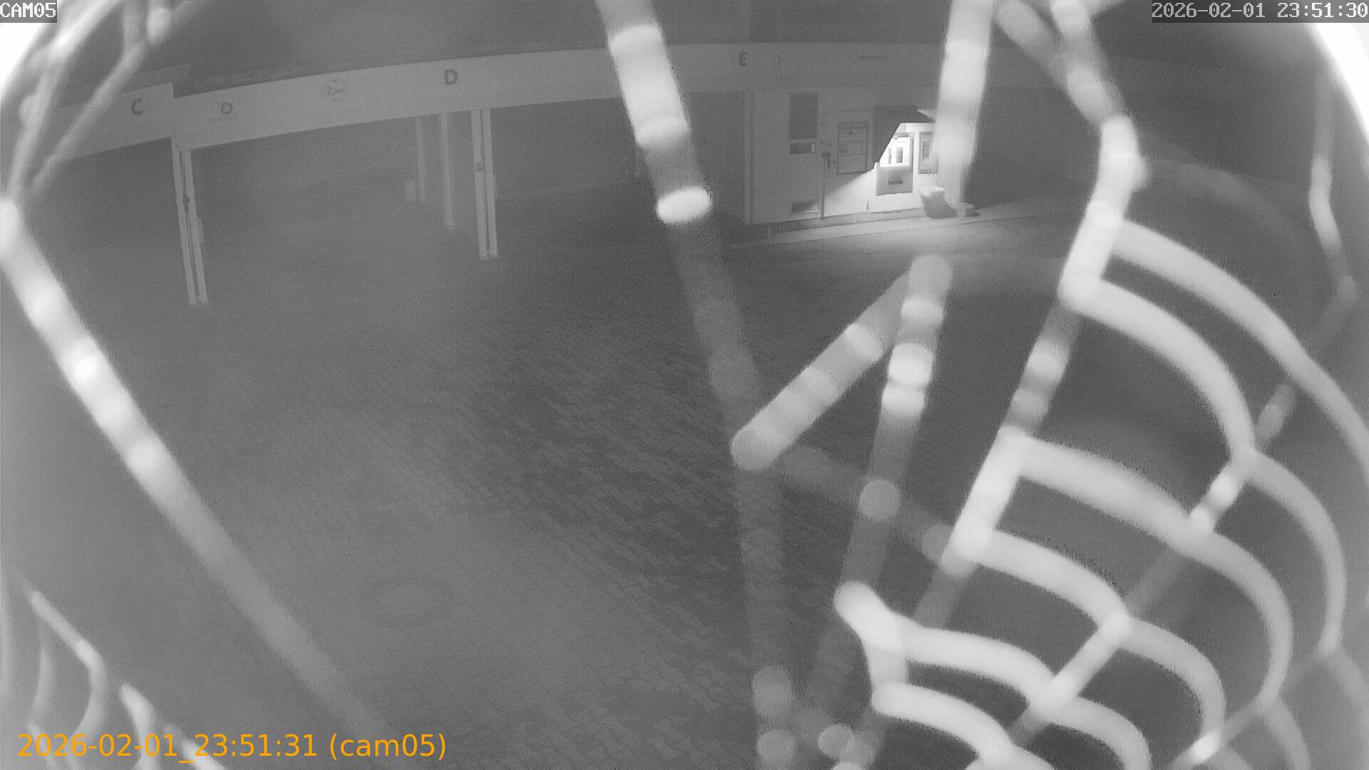 thumbnail_20260201235131